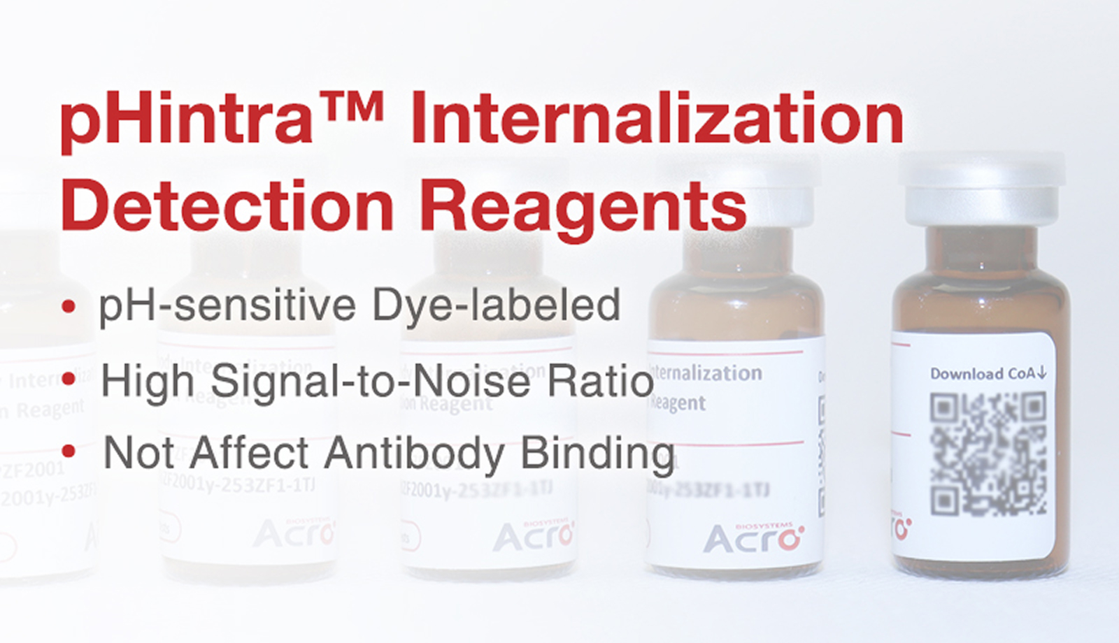 pHintra™ Internalization Detection Reagents