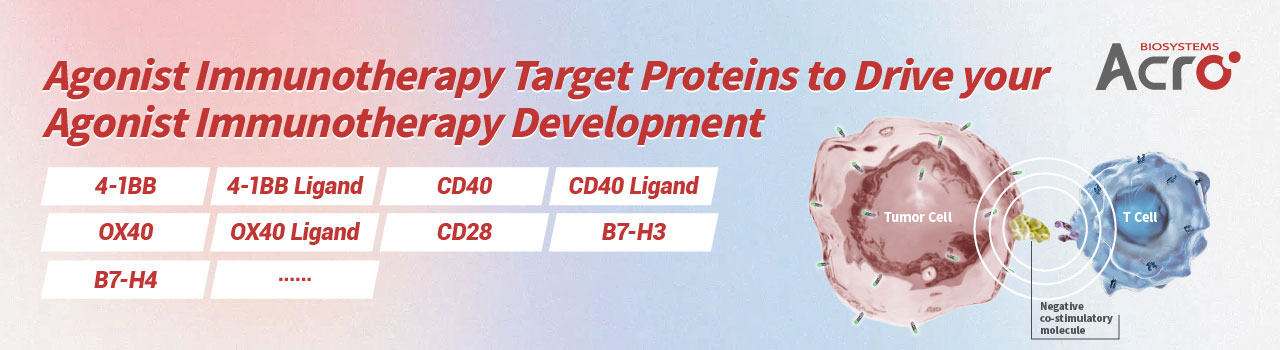 Agonist Target Proteins to Accelerate Immunotherapy Development Agonist Target Proteins to Accelerate Immunotherapy Development