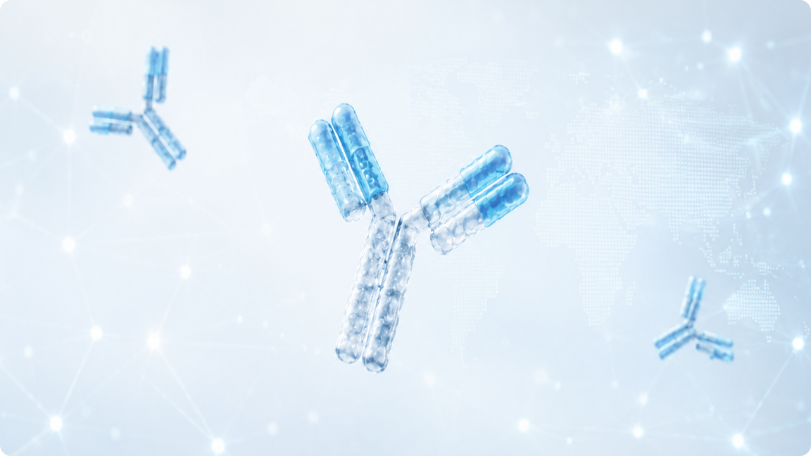 Antibody