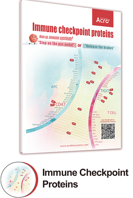 ACROBiosystems' comprehensive drug development solutions