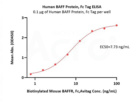 High binding affinity of BAFF to BAFFR/BCMA/TACI validated by ELISA