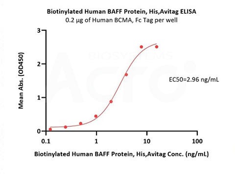 High binding affinity of BAFF to BAFFR/BCMA/TACI validated by ELISA