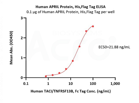 High binding affinity of BAFF to BCMA validated by BLI