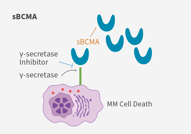Autoimmunity & Oncology