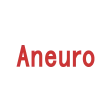 Aneuro