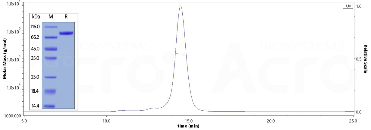 High purity
