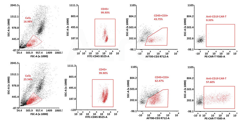 Anti-Idiotypic Antibodies