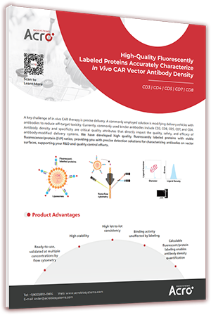 Precise Characterization of Antibody Density on In Vivo CAR Carriers  