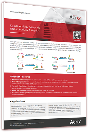 DNase/ RNase Activity Assay Kit 