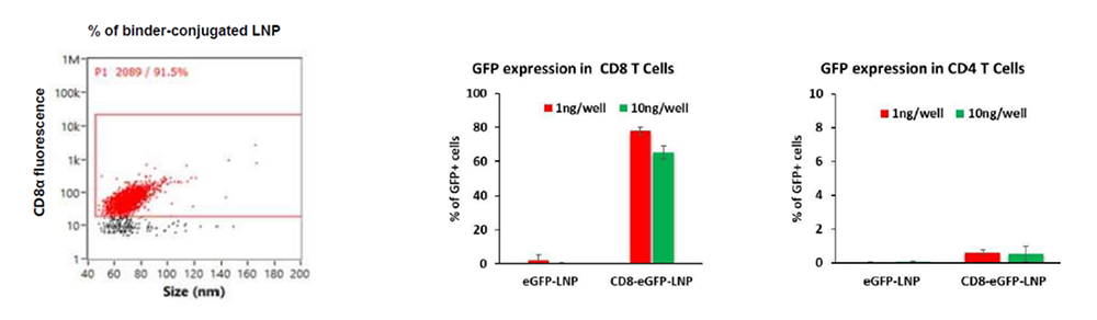Calculable fluorescent/protein labeling enables antibody density quantification