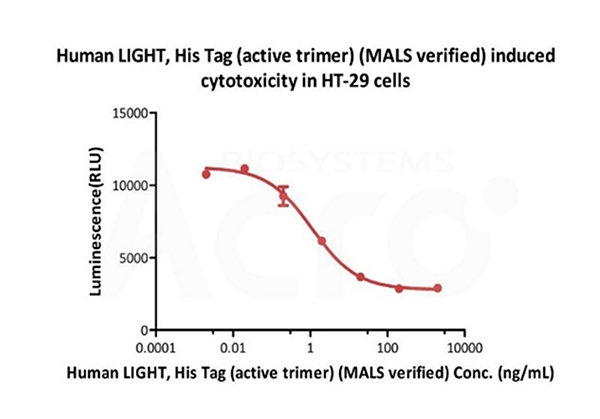 Human LIGHT-induced Cytotoxicity in HT-29 Cells 