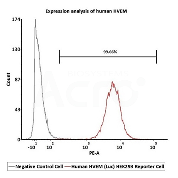 HVEM Expression Validation in HVEM (Luc) HEK293 Reporter Cells (FACS)
