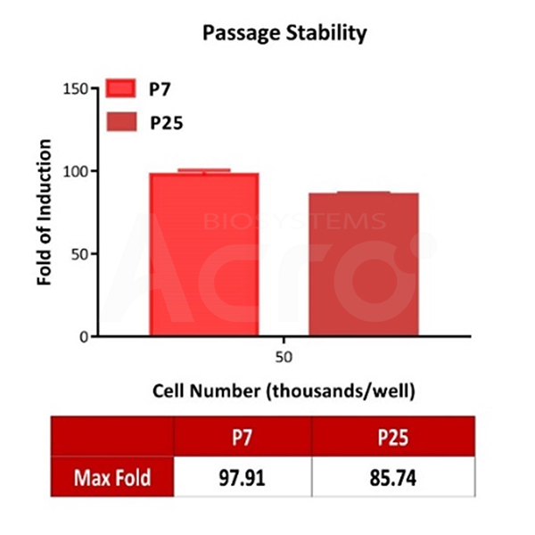 Expression analysis of human HVEM on Human HVEM (Luc) HEK293 Reporter Cell by FACS.