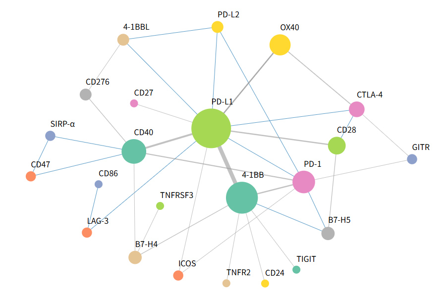 Targeting co-stimulatory and co-inhibitory immune checkpoints