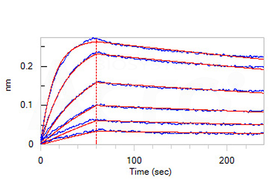 The binding activity to Abs was verified by SPR/BLI