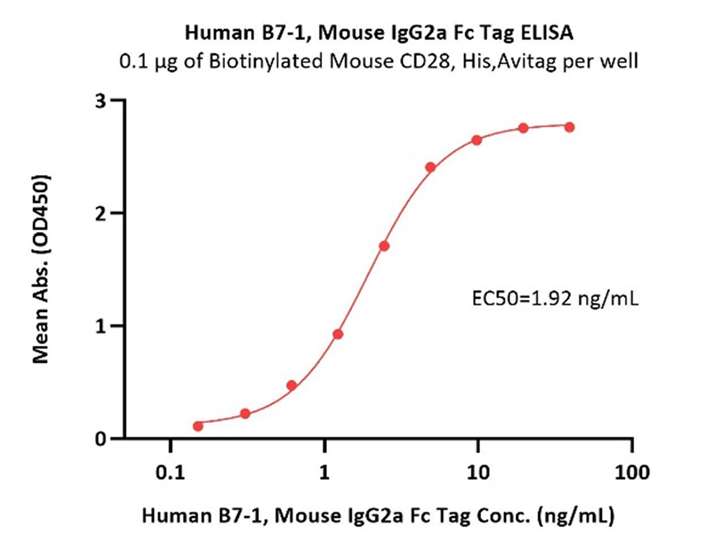 High Binding Activity of CD28 and B7-1 Verified by ELISA