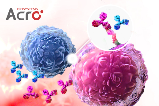 Immune Checkpoint BsAb Targets