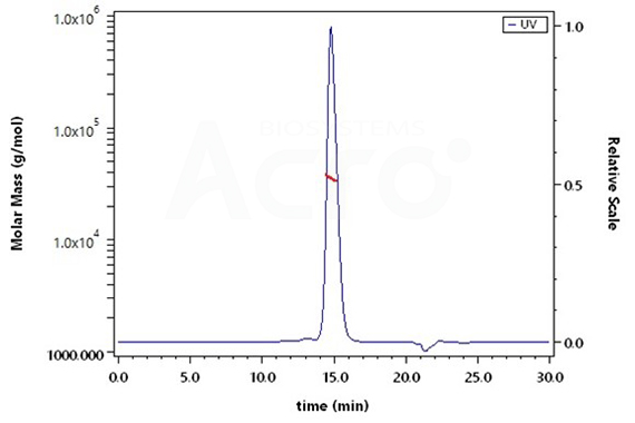 Protein High Purity Verified by SEC-MALS