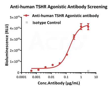 Agonistic Activity Validation