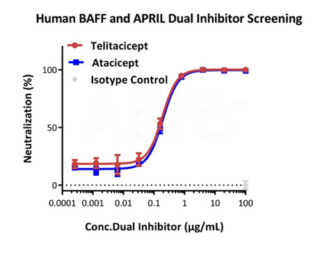Neutralizing Activity Validation