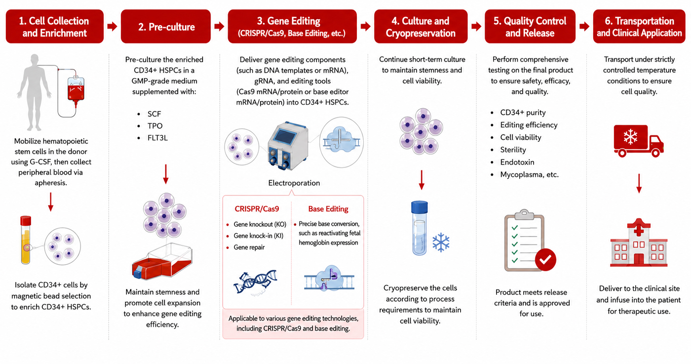CMC Manufacturing Process Solutions for CD34+ HSPC Cell Therapies