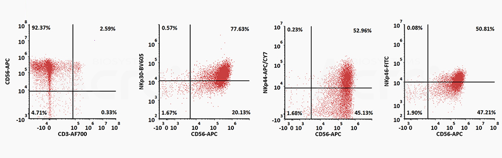 CD34+ CD45+ hematopoietic cells were seeded on GMP Human DLL4 Protein