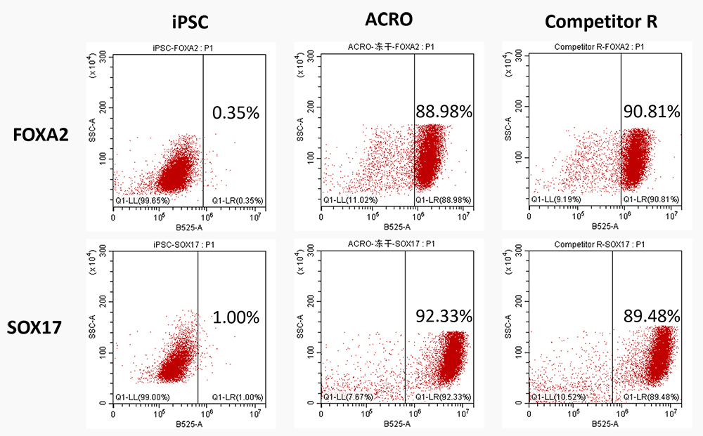 High quality Activin A supports endodermal differentiation