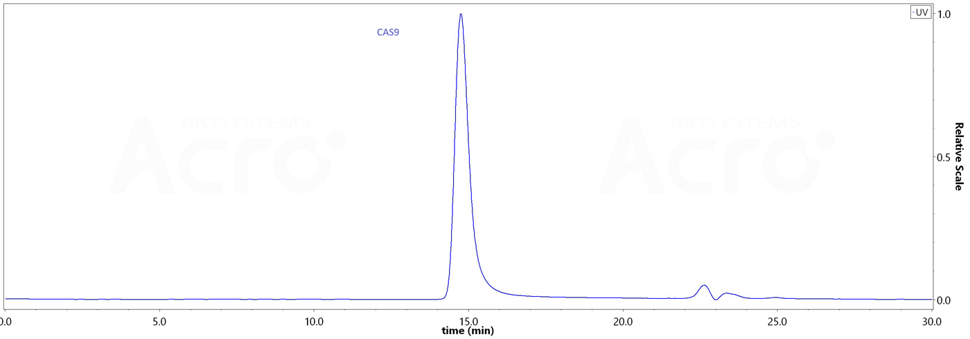 High Purity: >95% purity verified by SEC-HPLC