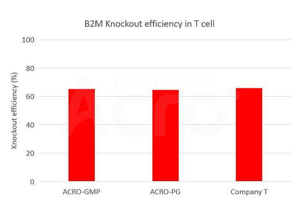 High Activity: Plasmid cleavage efficiency >90%