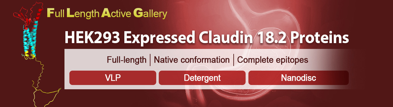 Claudin18_2 Claudin18_2