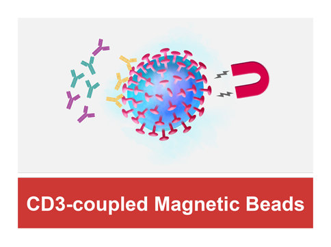 Pre-Coupling Magnetic Beads