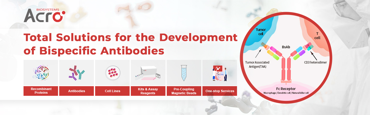 Total Solutions for the Development of Bispecific Antibodies