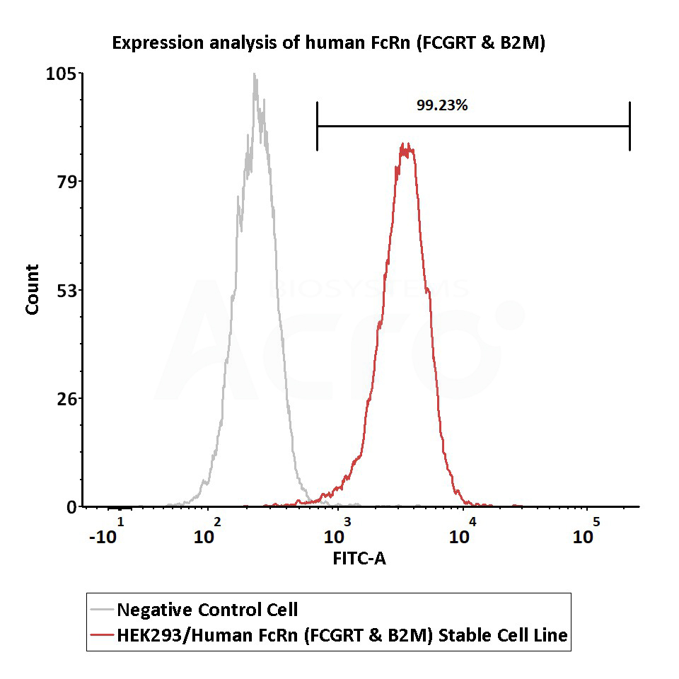 Functional Validation of FcRn Stable Cell Lines
