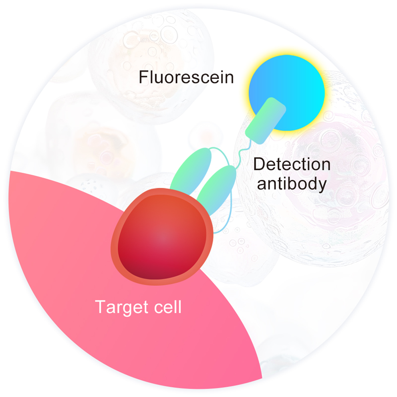 Cell Phenotyping Assay