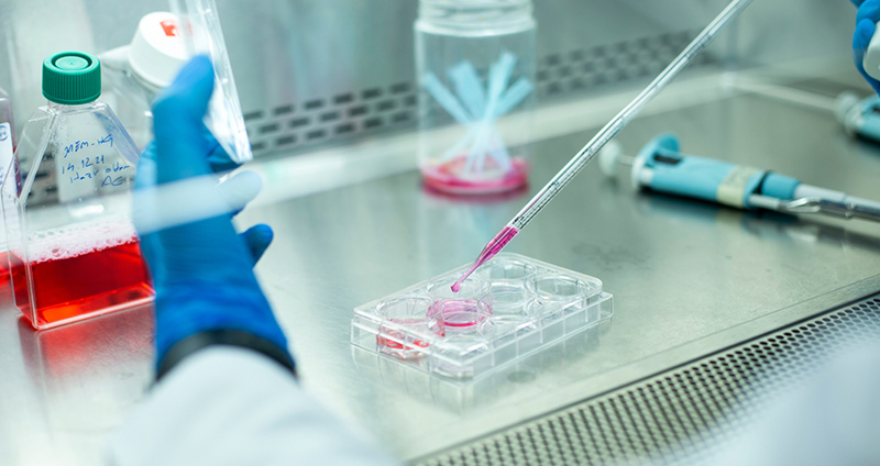 Research Grade – For foundational scientific discovery