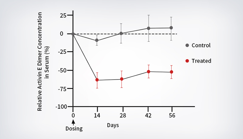 Serum Activin E Dimer Protein Levels in the INHBE-siRNA Drug Treatment Group and the Control Group