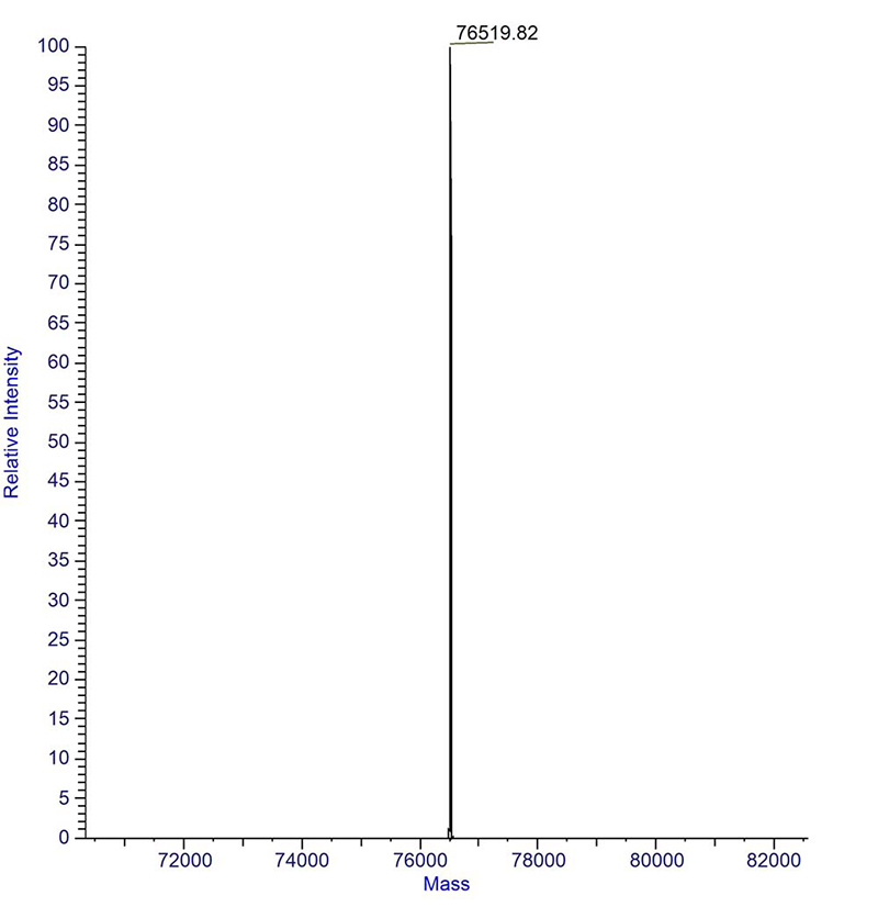 Measured Molecular Mass