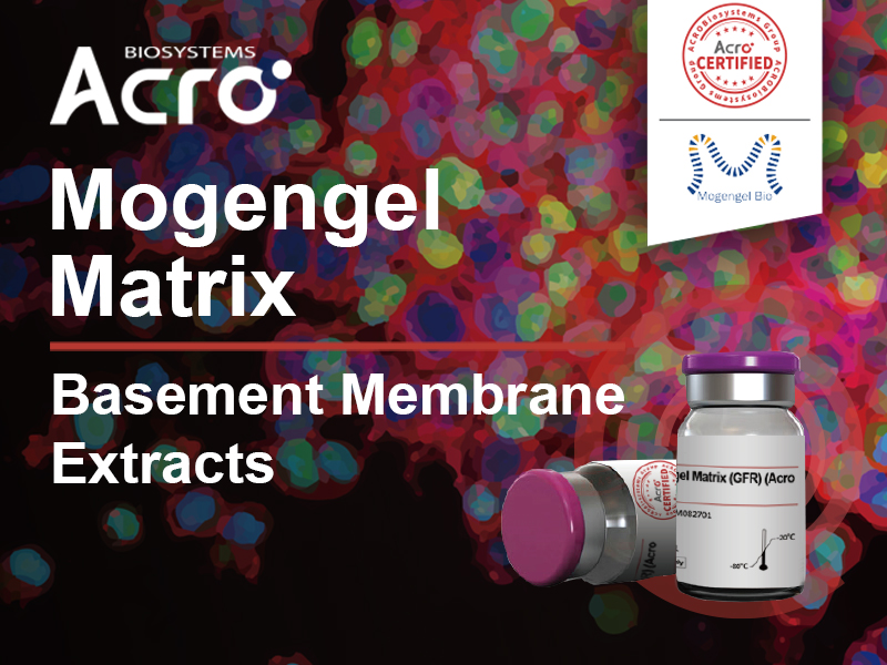 Basement Membrane Extracts