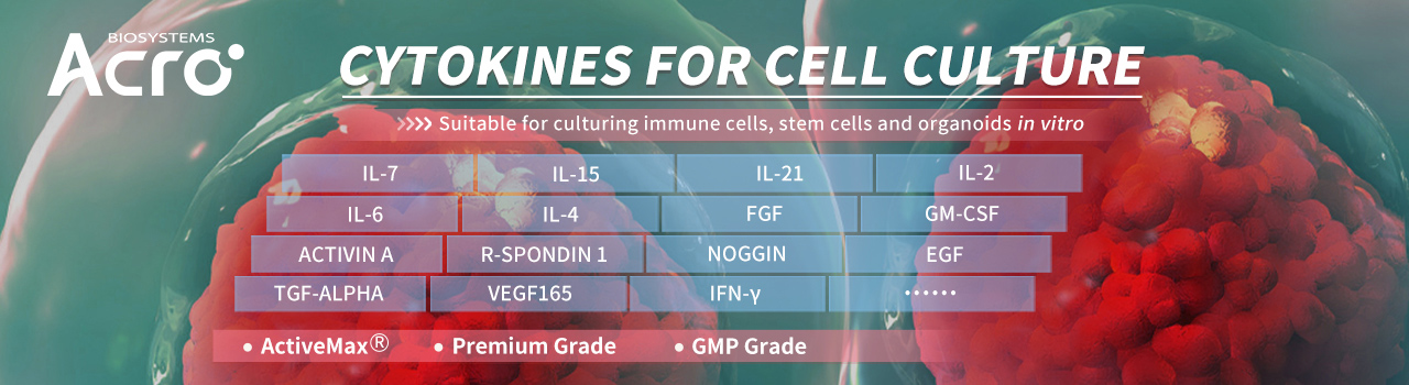 Cyt okines for Cell Culture
