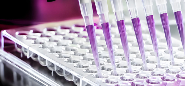 IHC Antibody Screening service