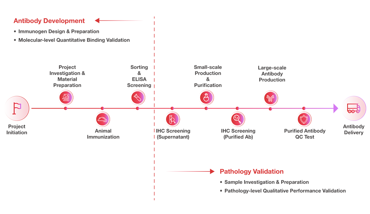 General Workflow