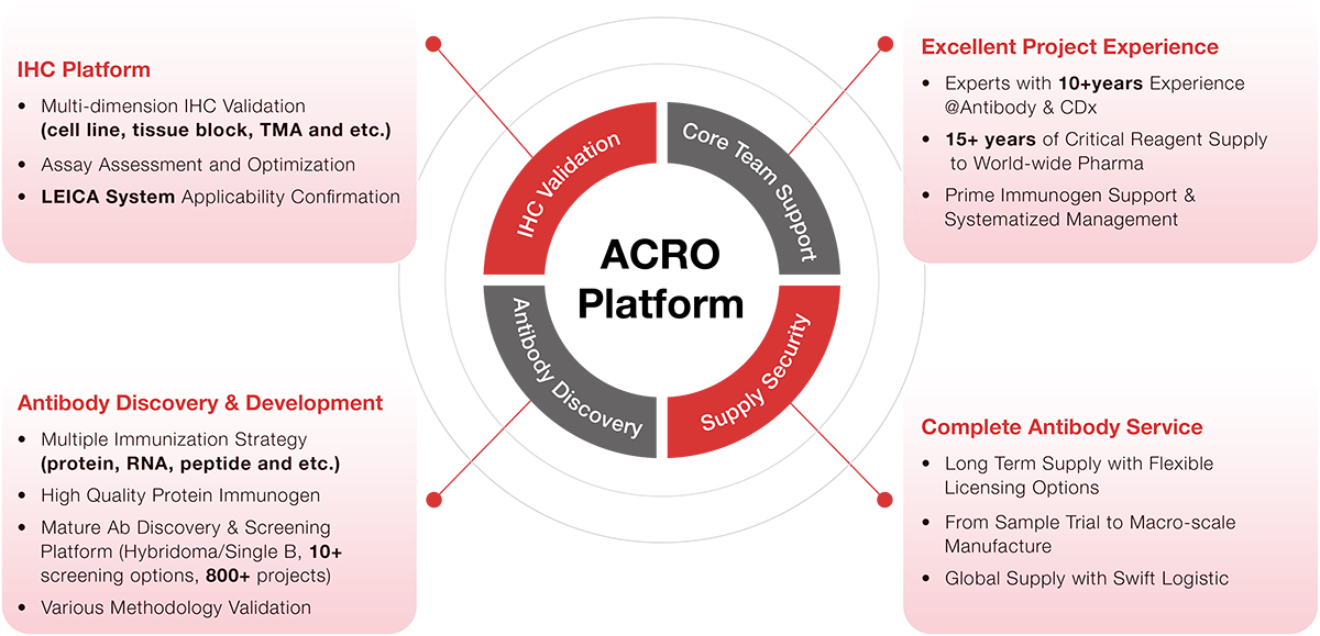 General Workflow