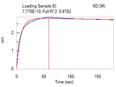 Anti-A Antibody Activity Identification (BLI Platform)