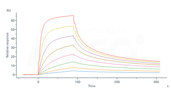 High Binding Affinity of DR3 to TL1A Verified by SPR