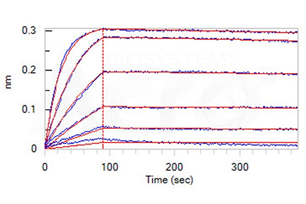 High Binding Affinity of OX40 to OX40L Verified by SPR