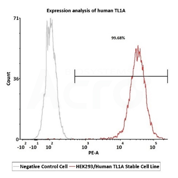FACS Analysis of TL1A Expression in HEK293/Human TL1A Stable Cell Line 