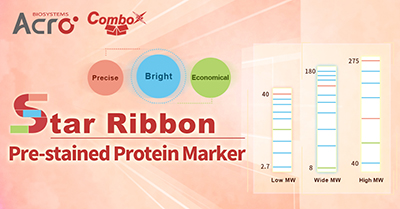 Star Ribbon Pre-stained Protein Marker