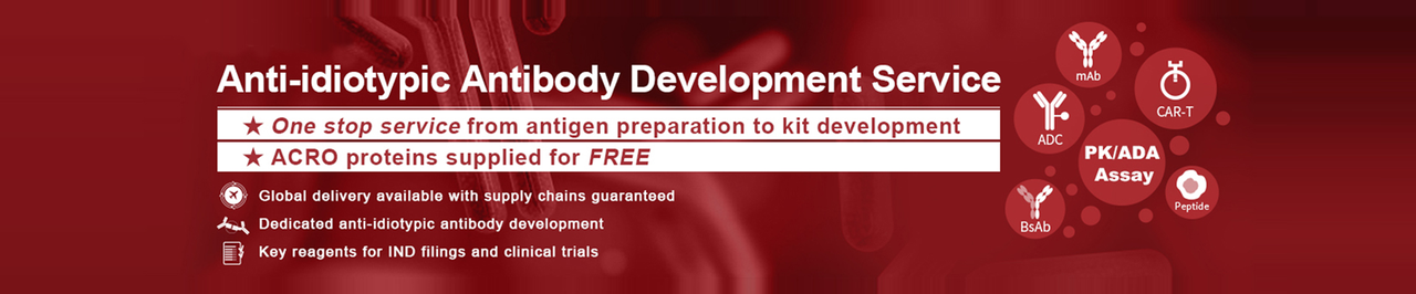  Learn About Anti-Idiotypic Antibody Development Services 