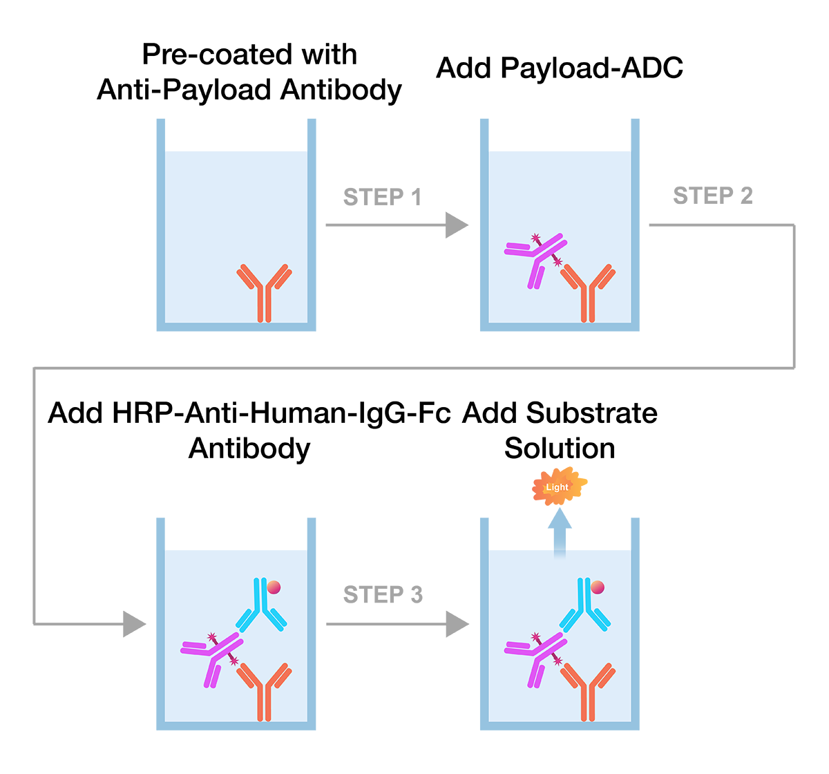 Assay Principle