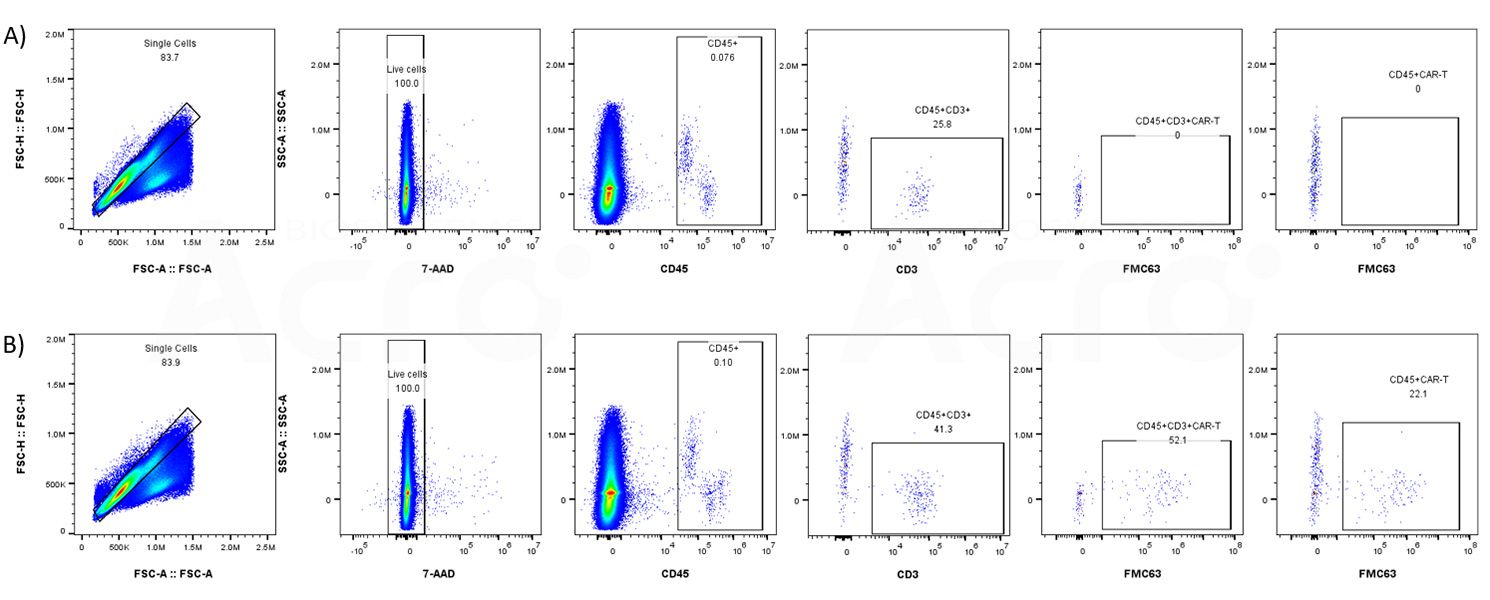 mAb for Anti-CD19 CAR Detection-Flow Cytometry Validated